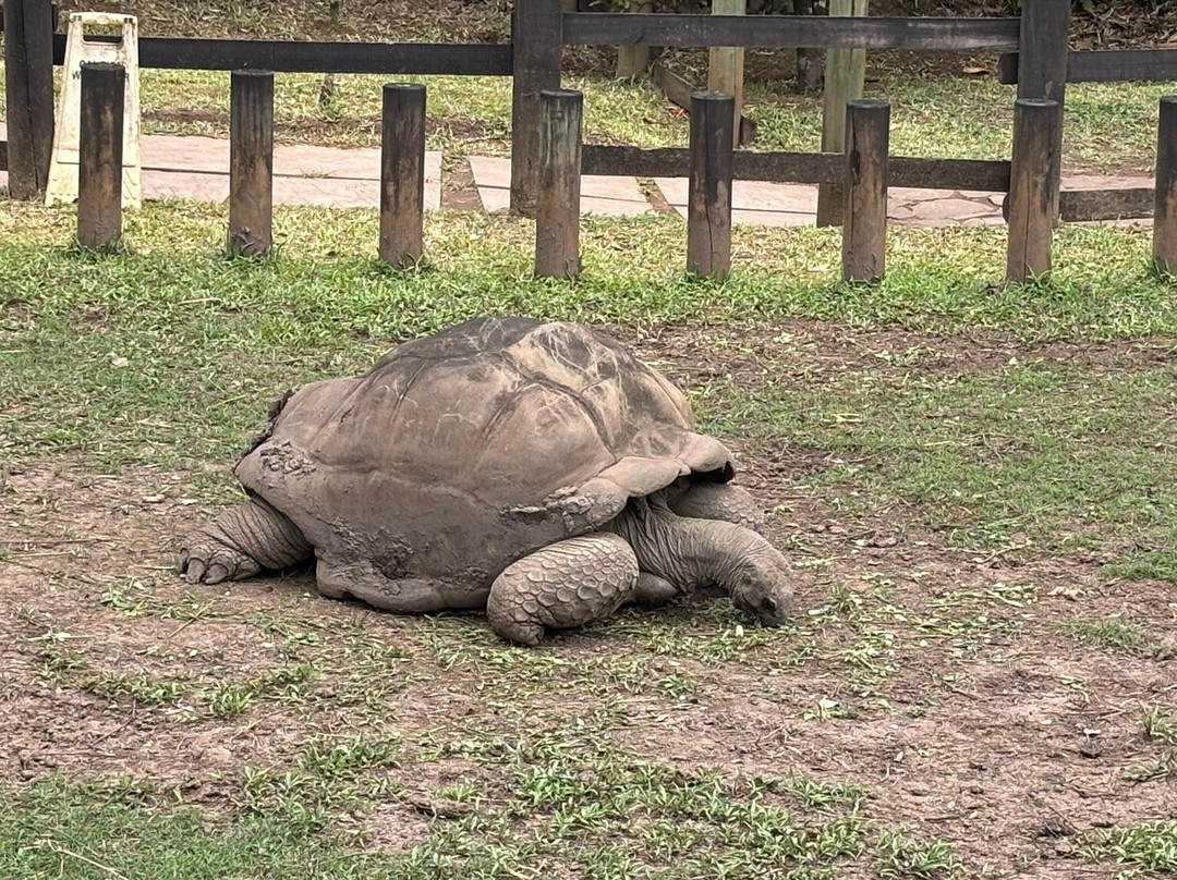 Sud Sauvage Adventure-Surinam必去景点
