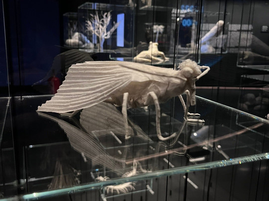 Mirador torre Glòries-巴塞罗那必去景点