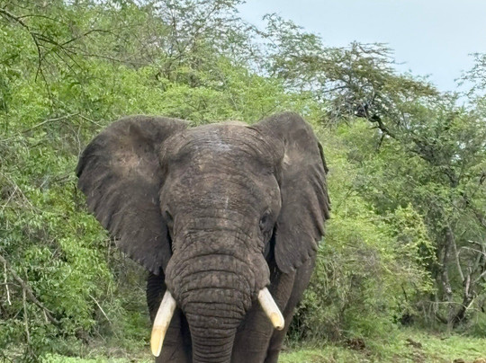 非洲冒险度假-坎帕拉必去景点