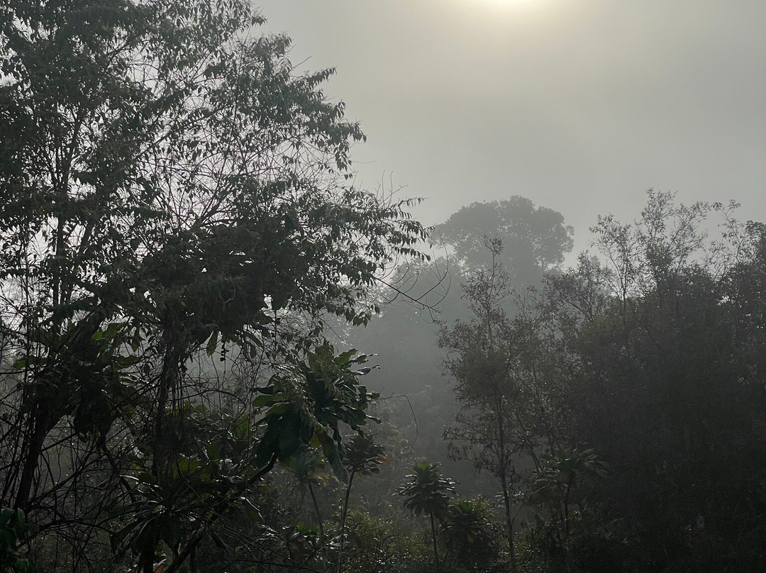 Wildlife Alliance-戈公必去景点