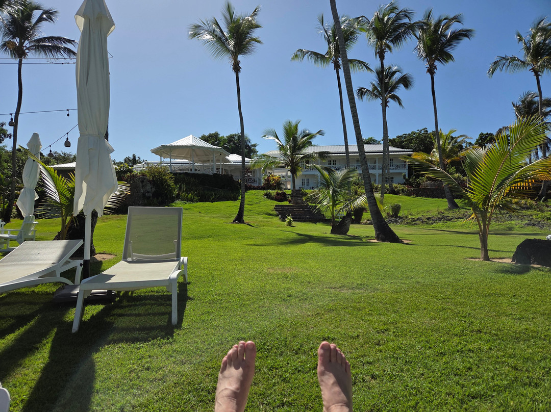 Hotel TODOBLANCO, Las Galeras, SAMANA主图