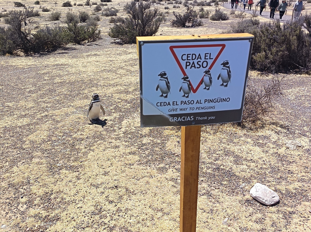 瓦尔德斯半岛-马德林港必去景点