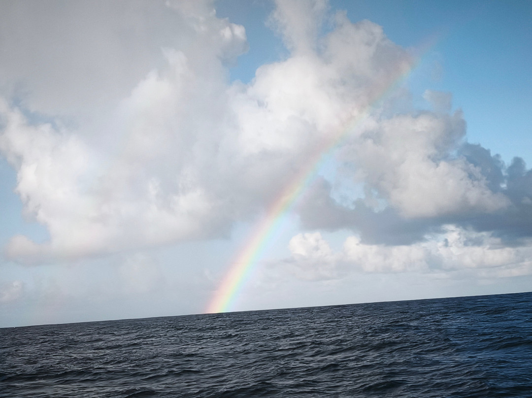 ECOWATCH_DISCOVERY_TOUR-Black River必去景点