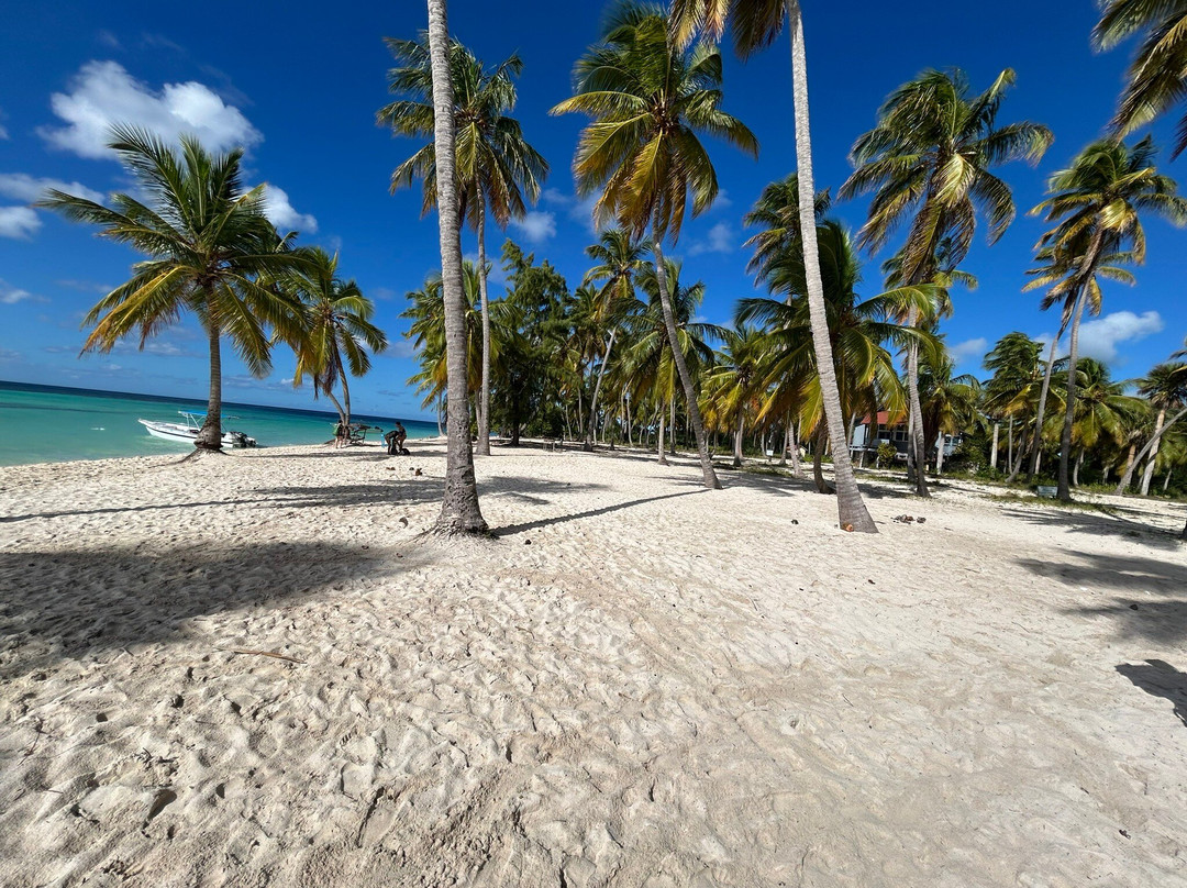 Mariposa Tours-Bayahibe必去景点