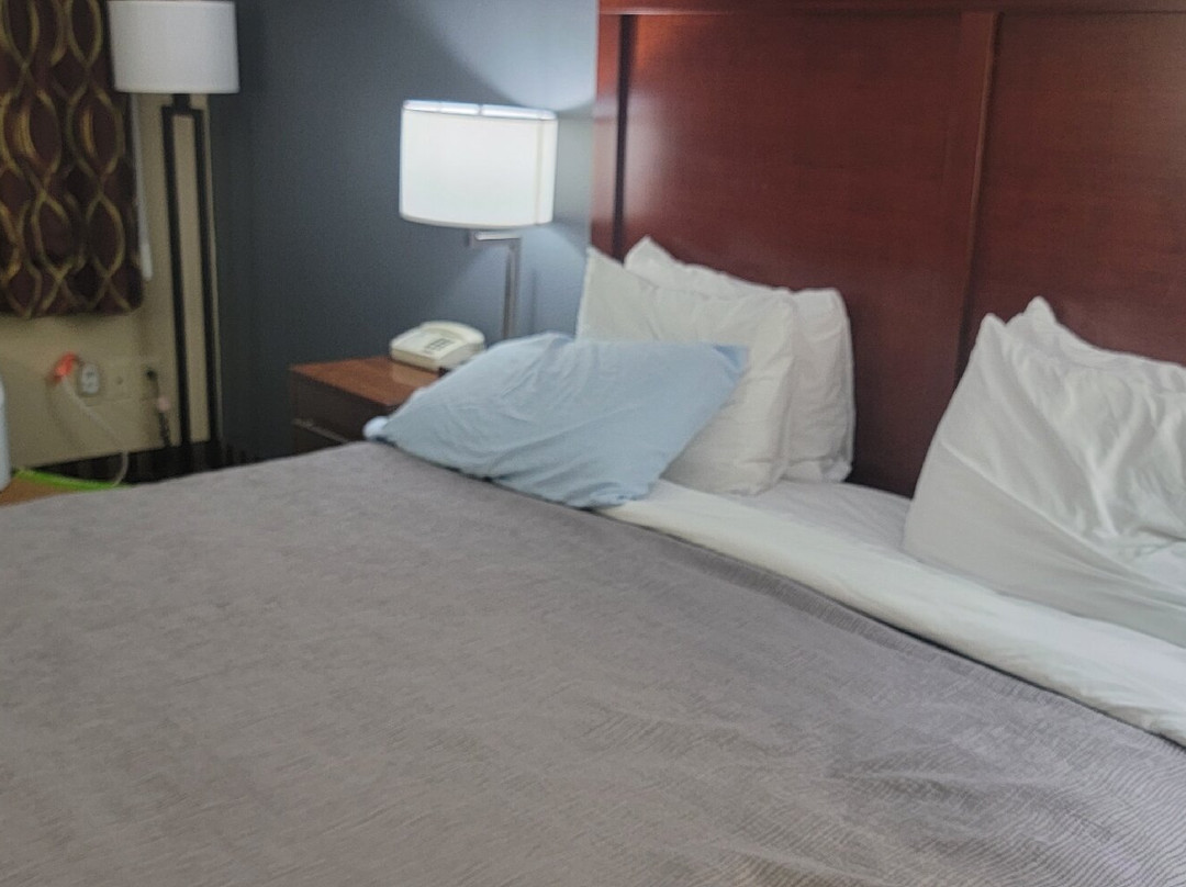 Quality Inn Kenly I-95主图