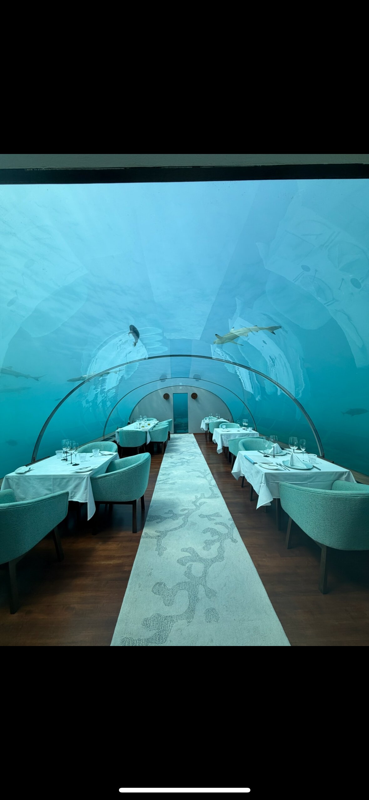 马尔代夫港丽度假酒店-官方