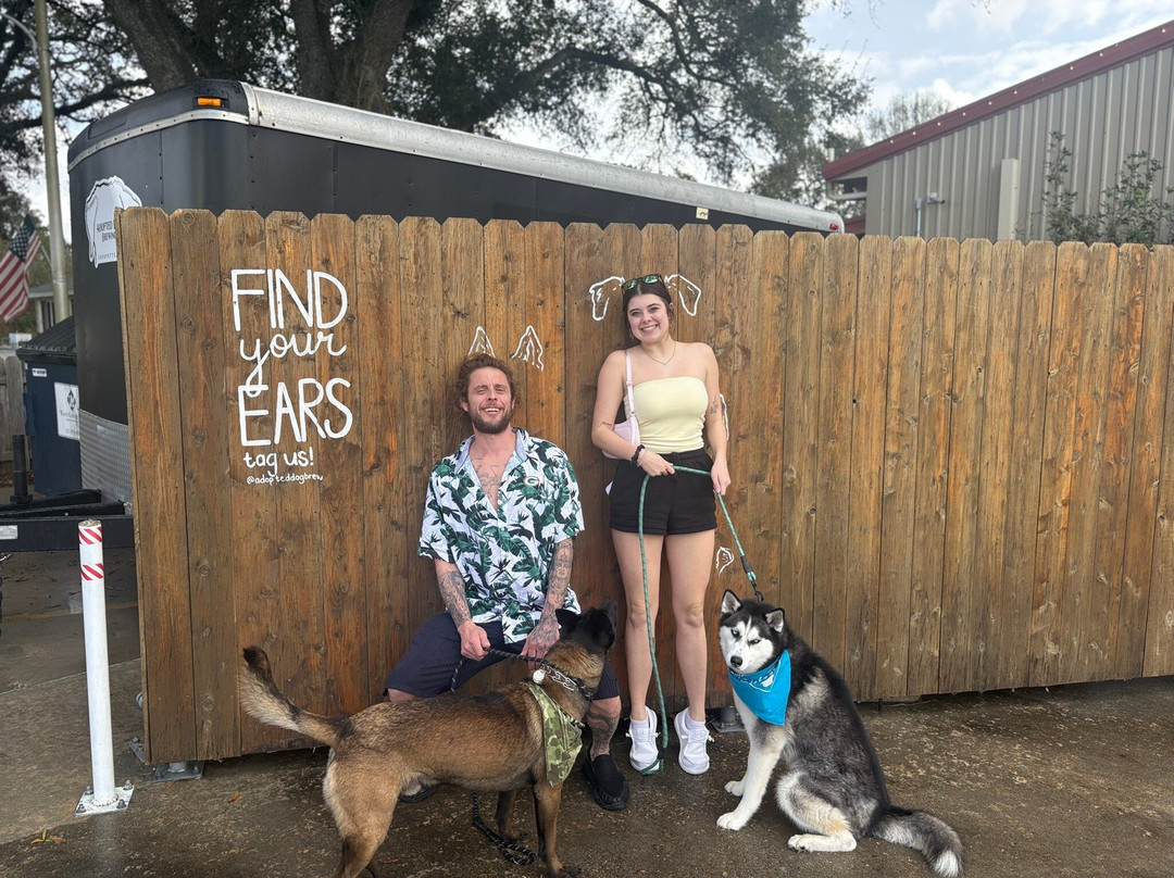 Adopted Dog Brewing-拉法叶必去景点