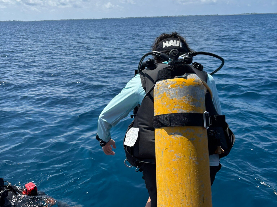 Addu Scuba Dive Maldives-阿斯杜太阳岛必去景点