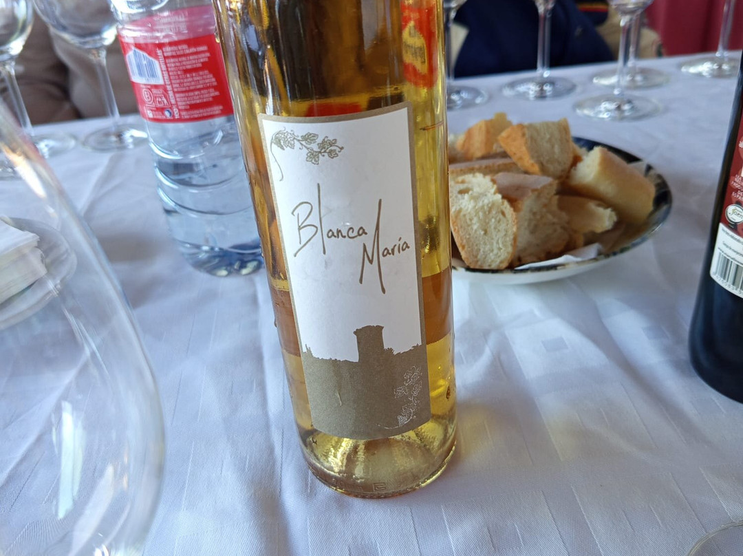 Viñedos & Bodega Marcelino Serrano-Alcala la Real必去景点