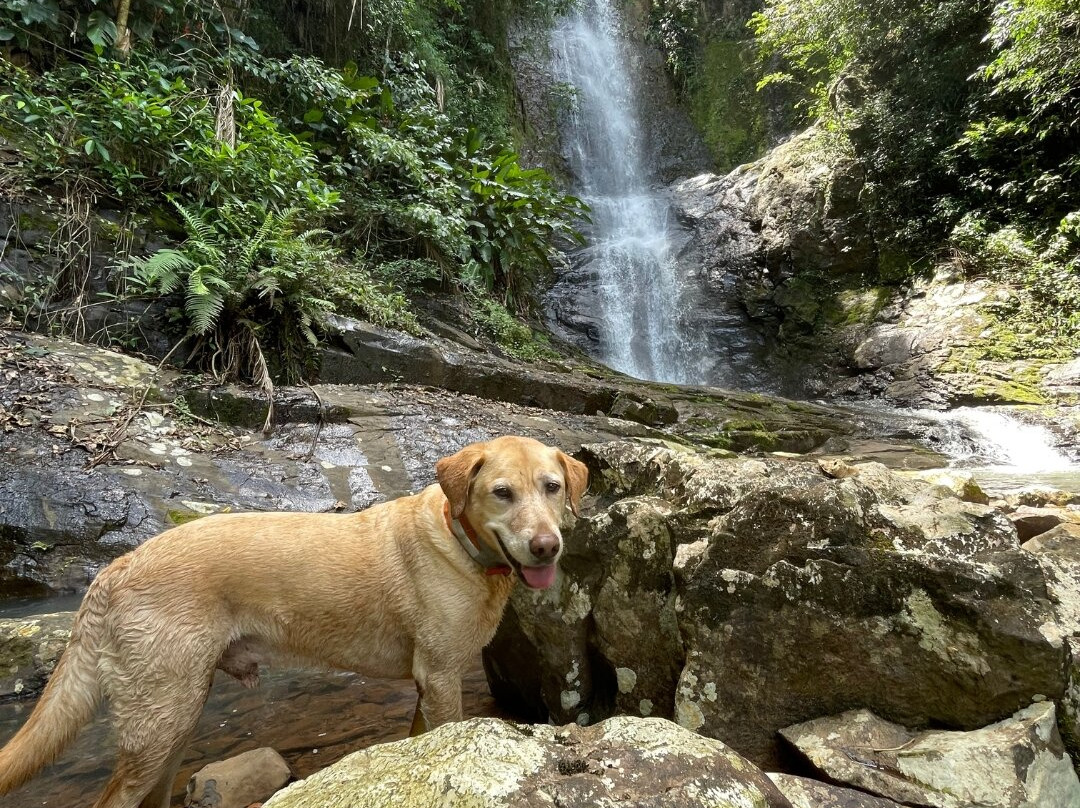 Cachoeira Dos Ventura-Praia Grande必去景点