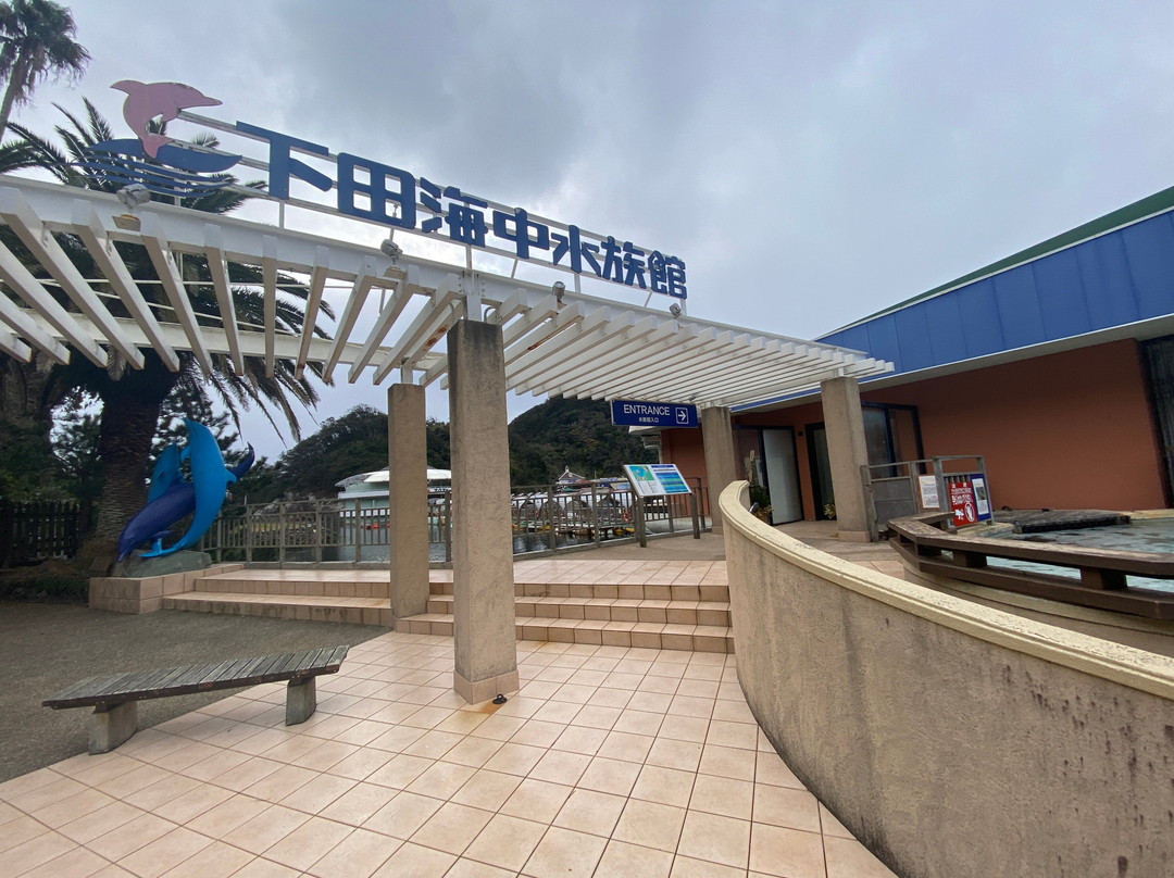 Shimoda Aquarium-下田市必去景点