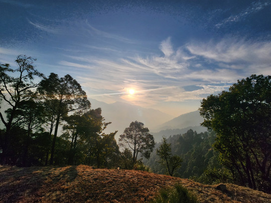 The Woods Retreat主图