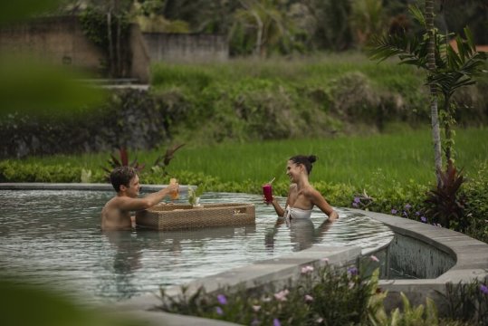 Beehouse Dijiwa Ubud-泳池