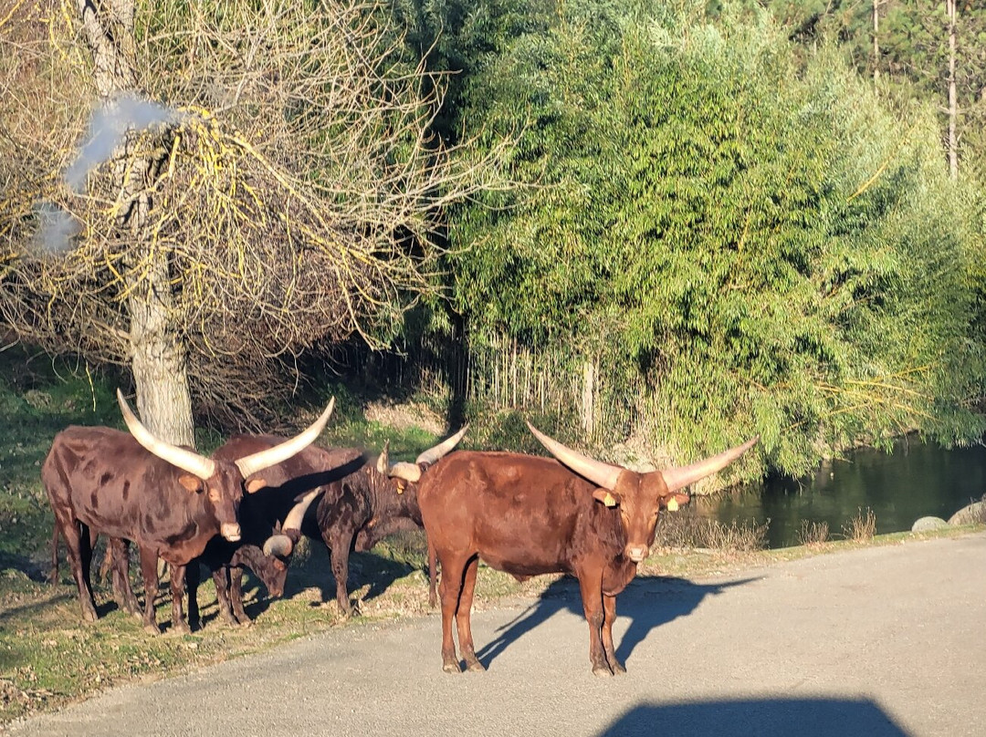 Safari De Peaugres-Peaugres必去景点
