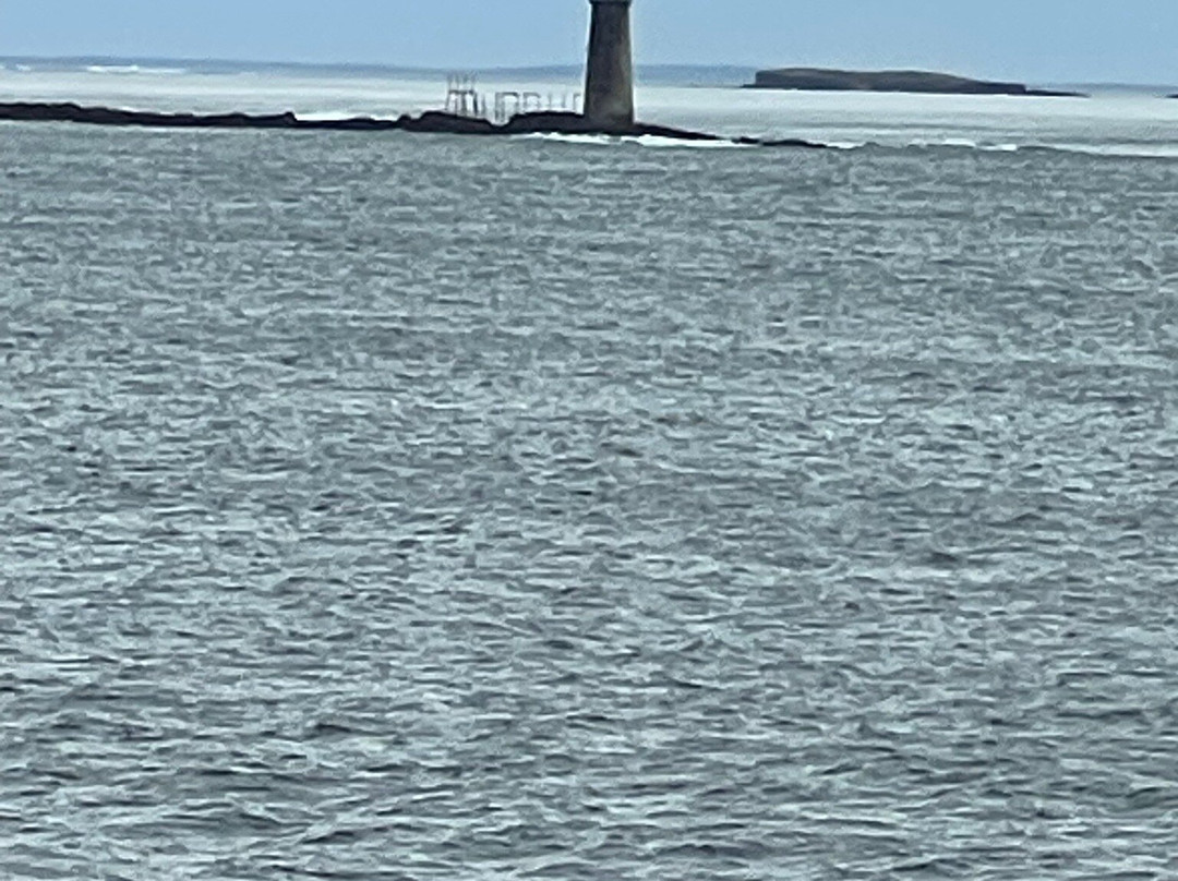 Fort Williams Park-开普伊丽莎白必去景点