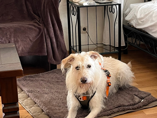 Burghaus Kronenburg主图