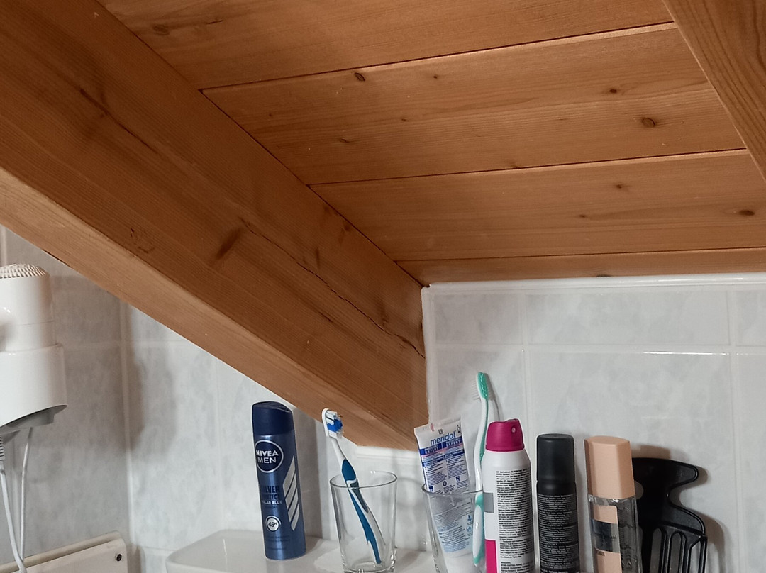 Die Kuh am See主图