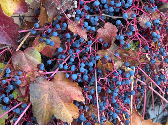 卡西那德雷罗赛酒店主图