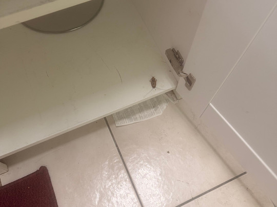 Atlantic Sands Beach Suites主图