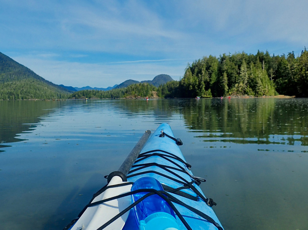 Tofino Sea Kayaking Day Tours-托菲诺必去景点
