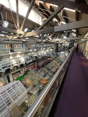 OVOLO WOOLLOOMOOLOO主图