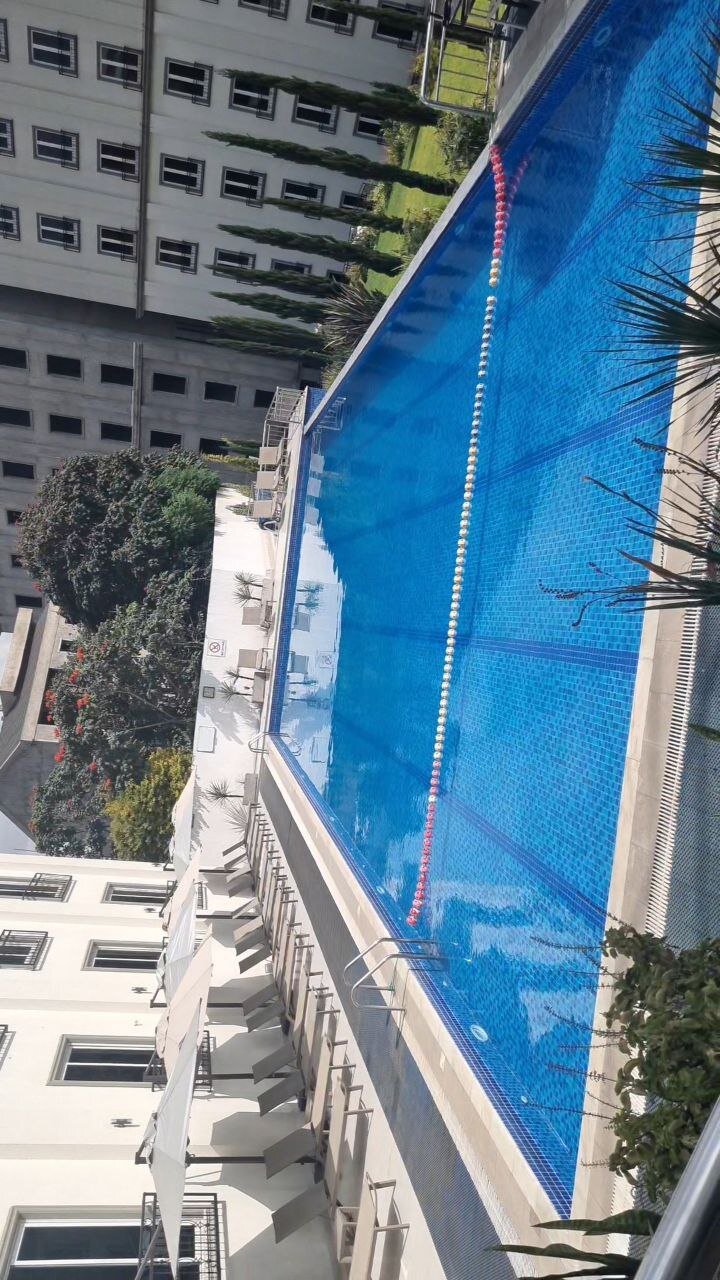 Haile Grand - Addis Ababa-泳池