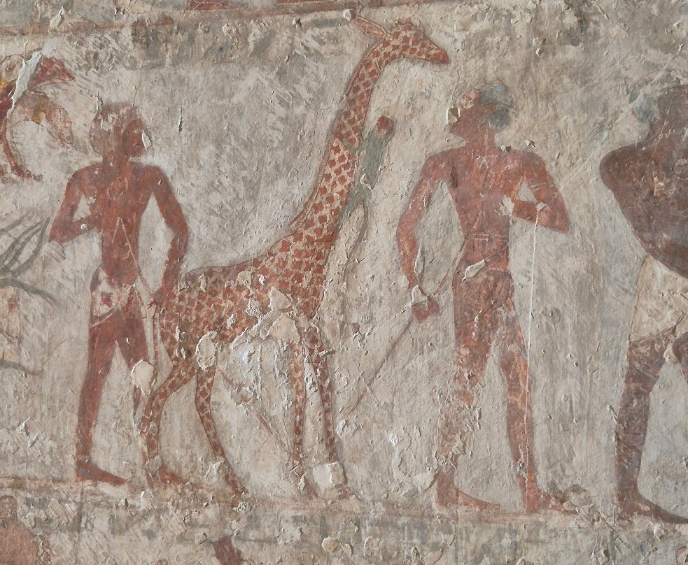 Tomb of Rekhmire-卢克索必去景点