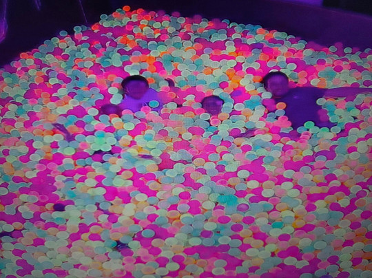 Sensas Metz-Moulins-les-Metz必去景点