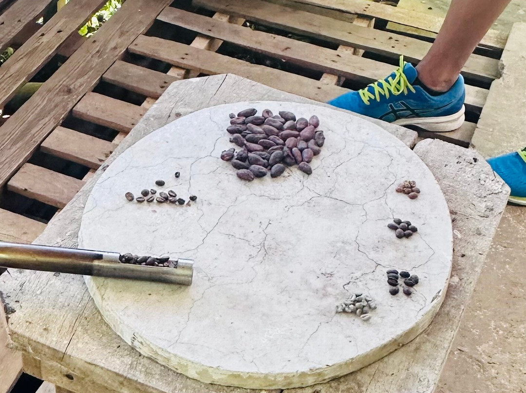 TIO JOSE COFFEE TOUR-葛雷西亚必去景点