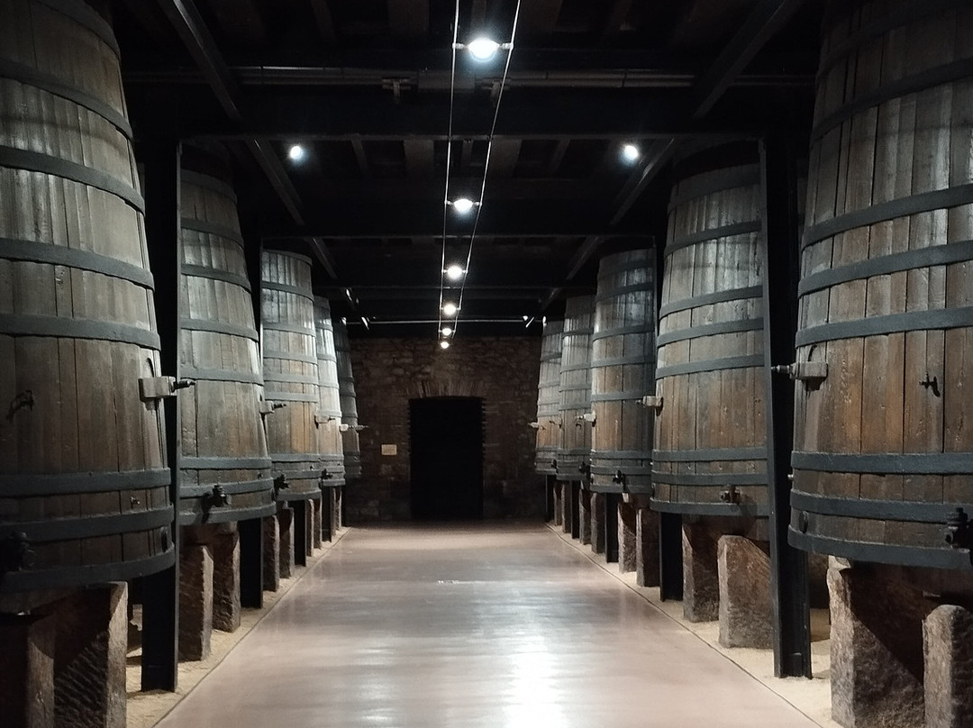 Bodegas Franco Espanolas-洛格罗尼奥必去景点