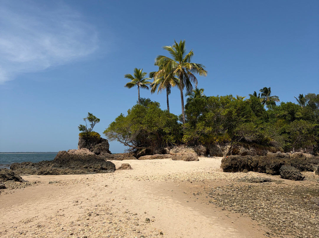 Lanchas Maria Hellena-Camamu必去景点