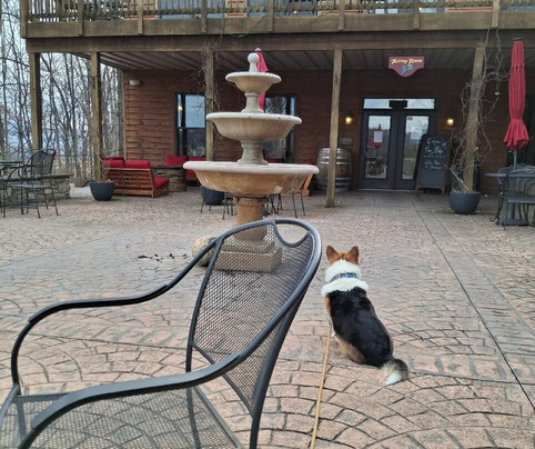 Cave Ridge Vineyard-Mount Jackson必去景点