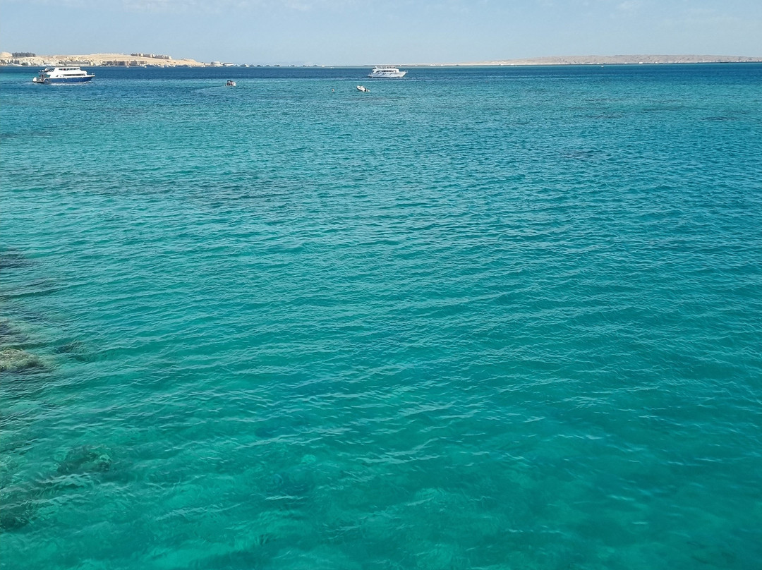 Red Sea Horse Diving-Hurghada 1必去景点