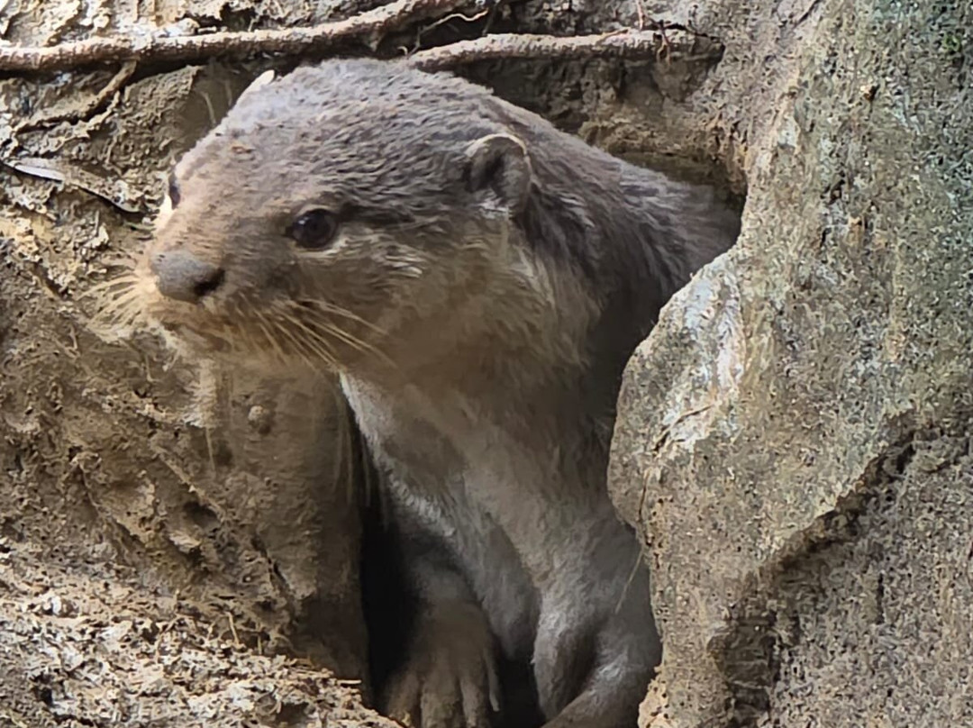 Zoo de La Fleche-La Fleche必去景点