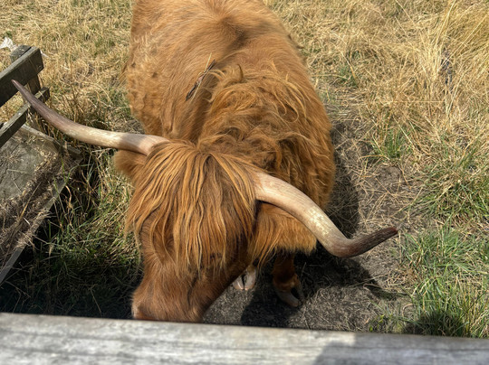 Aroha Luxury New Zealand Tours-Tokoroa必去景点