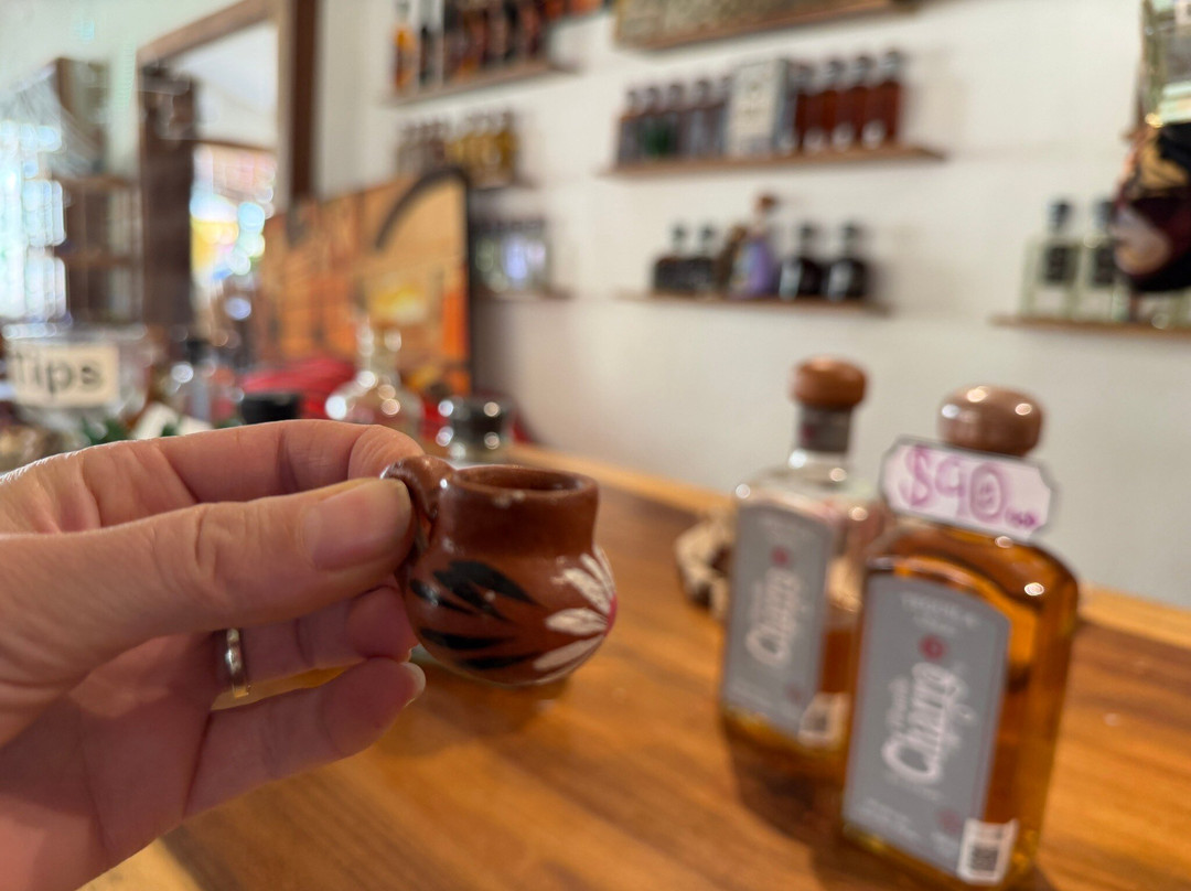 Vista Paraiso - Day Tours and Activities-Higuera Blanca必去景点