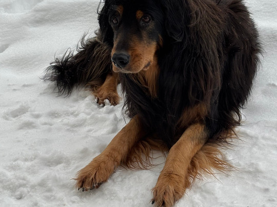 Böhmhof Wellness Und Vitalhotel主图