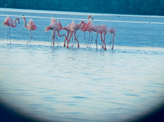 My Holbox Tours-Holbox必去景点