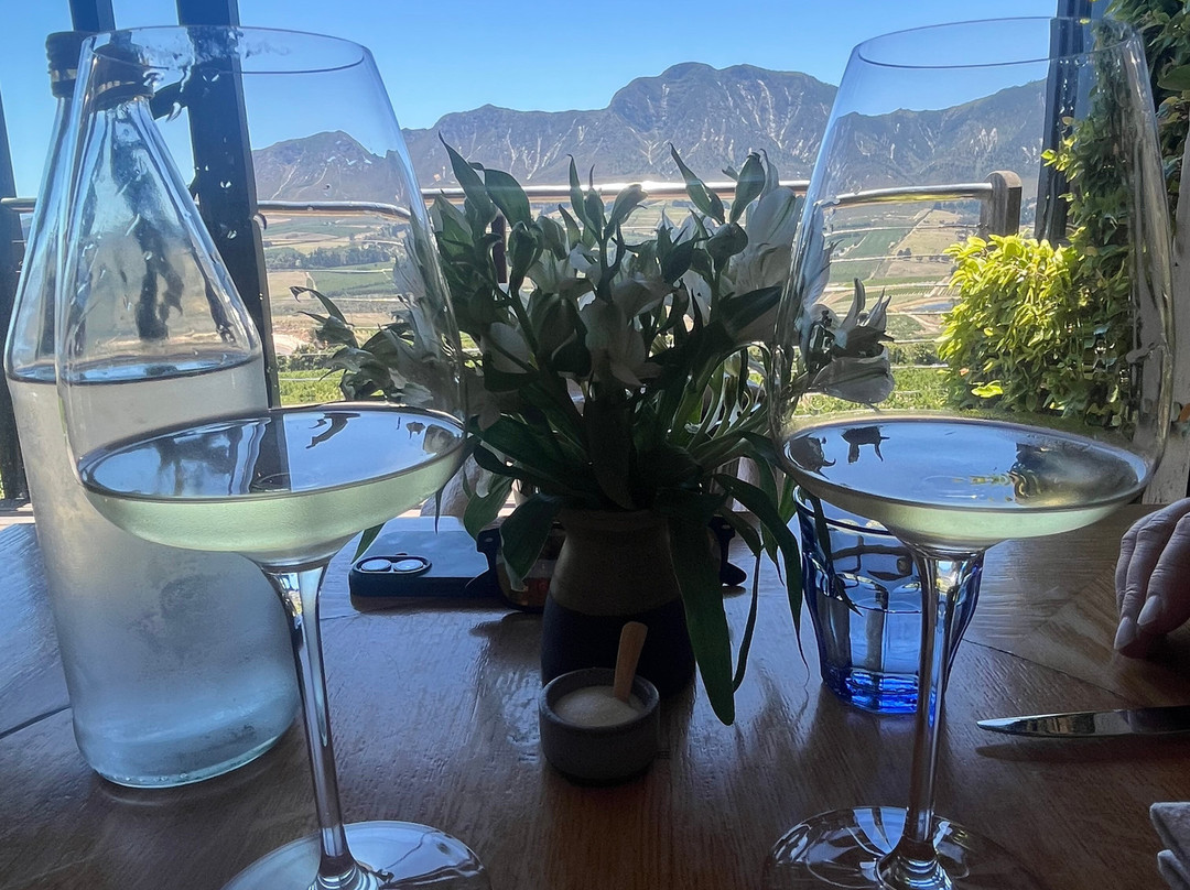 Newton Johnson Family Vineyards-赫曼努斯必去景点