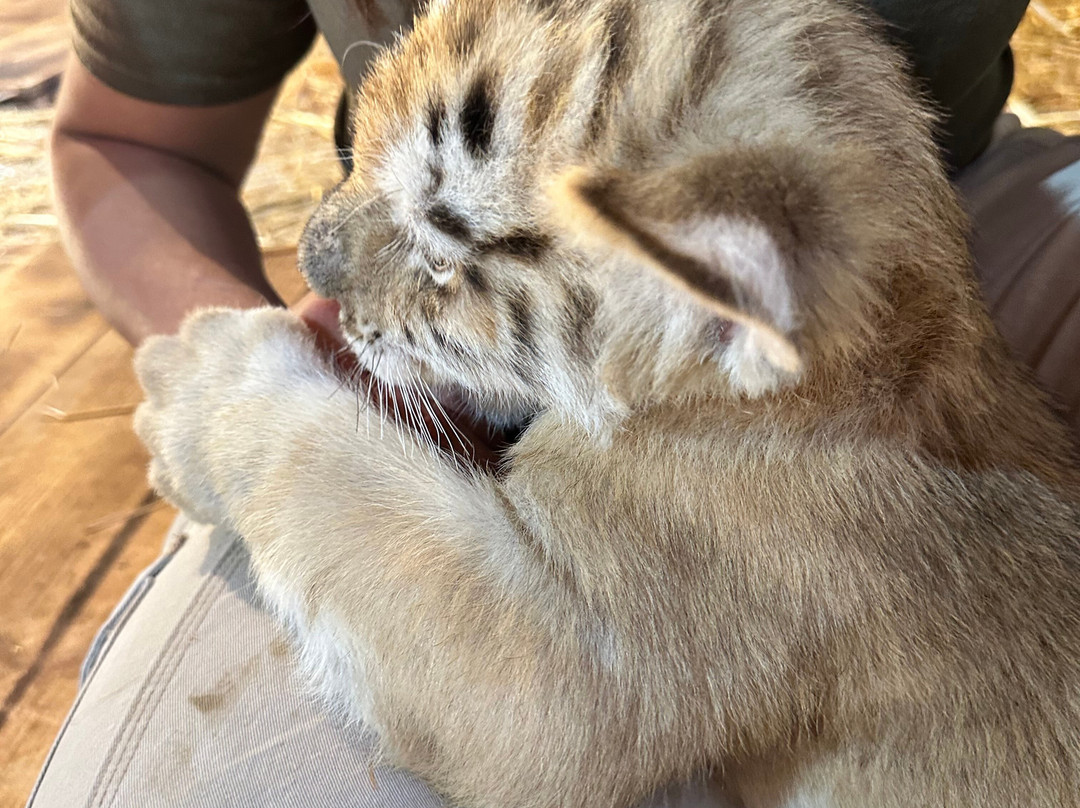 Pai Pai Ecotourism Park-恩塞纳达必去景点
