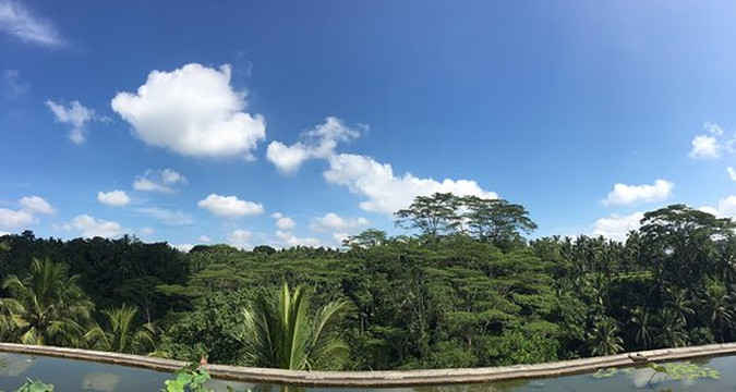 巴厘岛乌布四季度假村主图