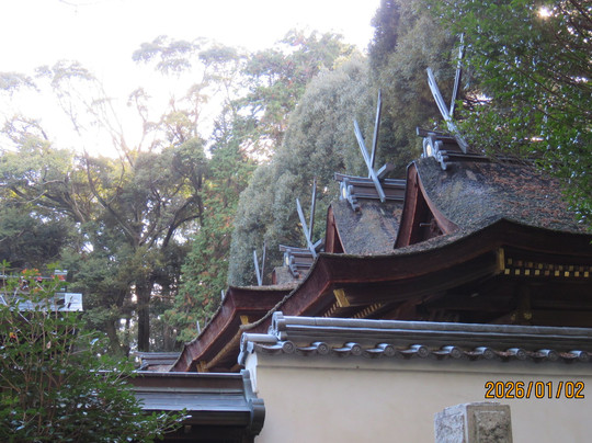 Ikoma Taisha-生驹市必去景点