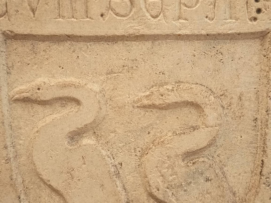 Museo Civico Di Storia Naturale-皮亚琴察必去景点