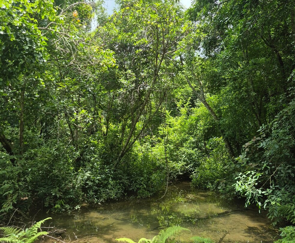 Parque das Cachoeiras-博尼图必去景点