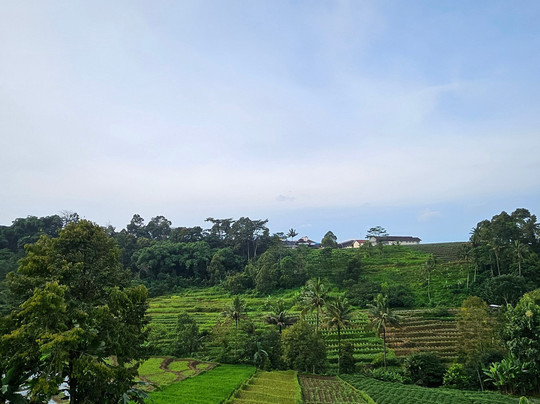 Rumah Atsiri Indonesia-Tawangmangu必去景点