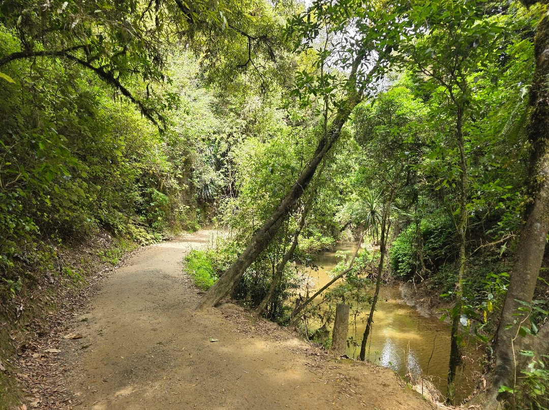Ruakuri Walk-怀托摩洞穴必去景点