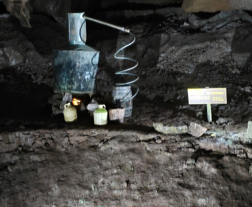 The Lost Sea Adventure-Sweetwater必去景点