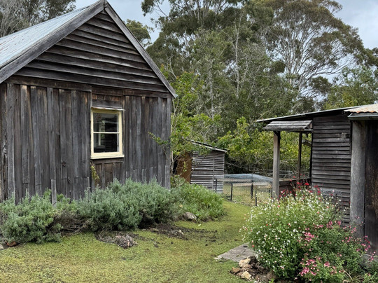 Davidson Whaling Station-伊登港必去景点