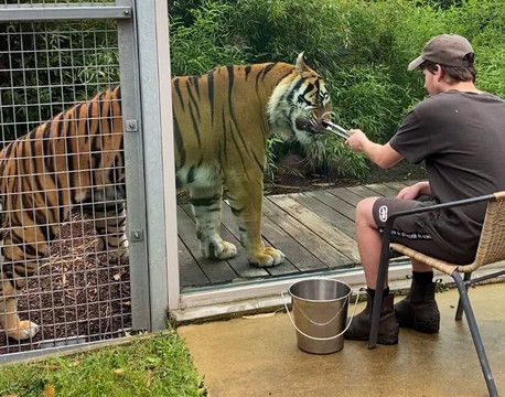 Ballarat Wildlife Park-巴拉瑞特必去景点