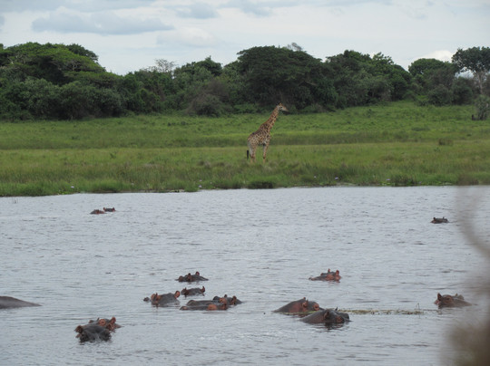 The Little Bush Baby Company-圣露西亚必去景点